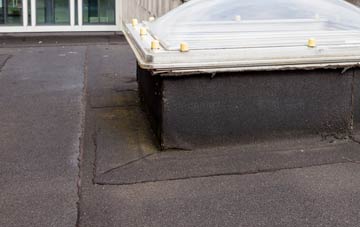 disadvantages of Carew Newton flat roofs