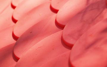 Carew Newton plastic roof costs