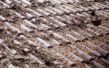 Carew Newton roof cleaning companies