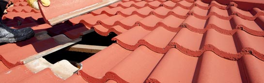 compare Carew Newton roof repair quotes