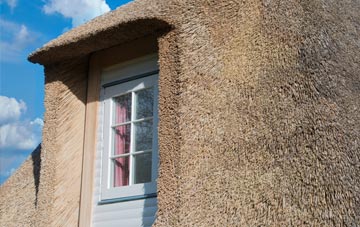 Carew Newton thatch roof disadvantages