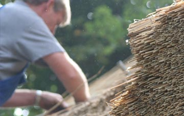 professional Carew Newton thatchers