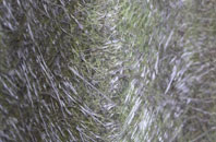 Carew Newton fibreglass roof work