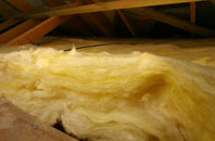 Carew Newton pitch roof insulation